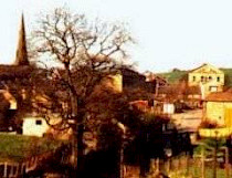 Wardle Society Image