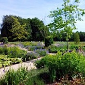 RHS Garden Bridgewater