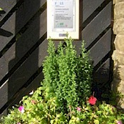 Flower tub at Littleborough
