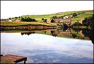 Whitworth Valley Angling Society  image