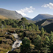 Cairngorm