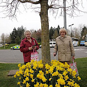 A lovely spring display