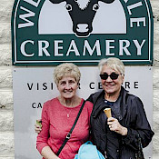 The Wenslydale cow 