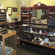 James Herriot museum