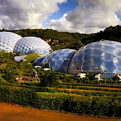 The Eden Project 