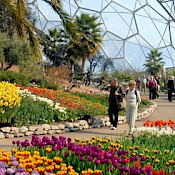 The Eden Project 